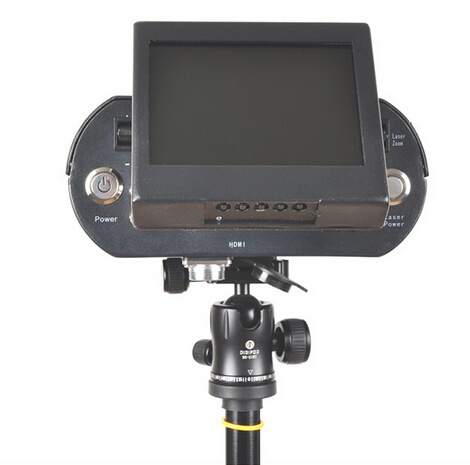 美女的隐藏部位是什么图片