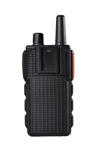 美女的隐藏部位是什么图片