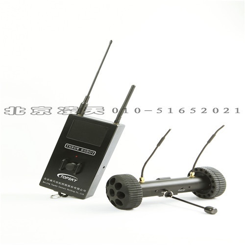 美女的隐藏部位是什么图片