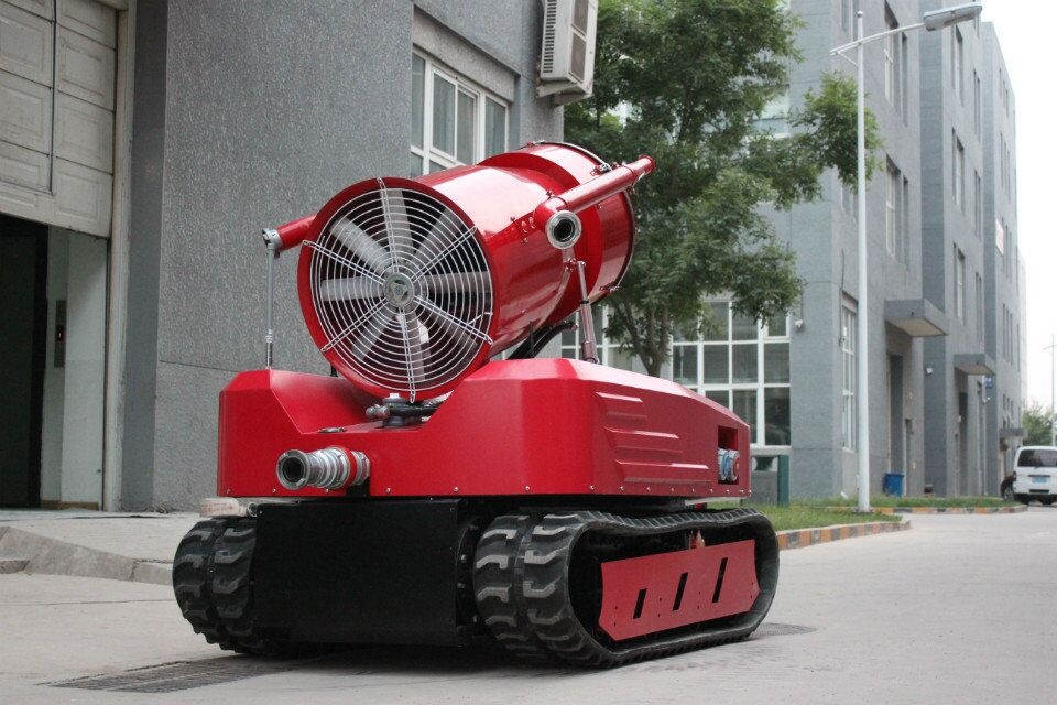 美女的隐藏部位是什么图片