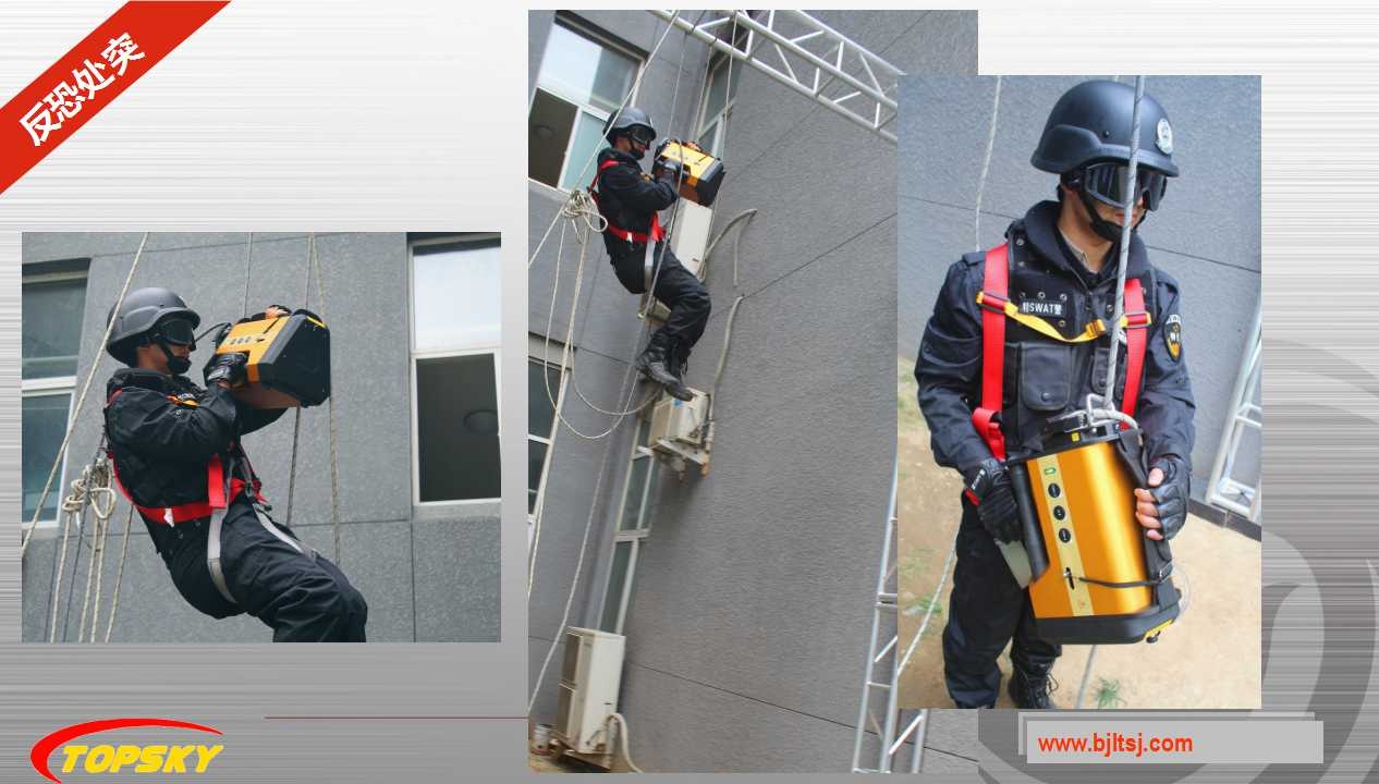 美女的隐藏部位是什么图片