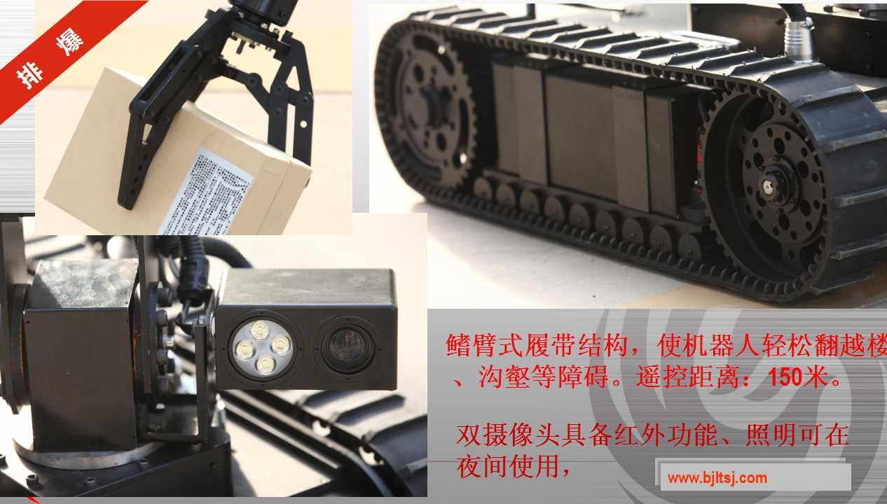 美女的隐藏部位是什么图片