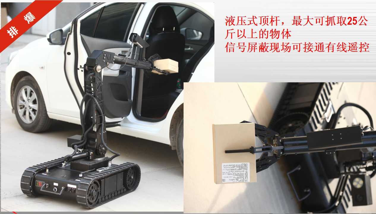 美女的隐藏部位是什么图片