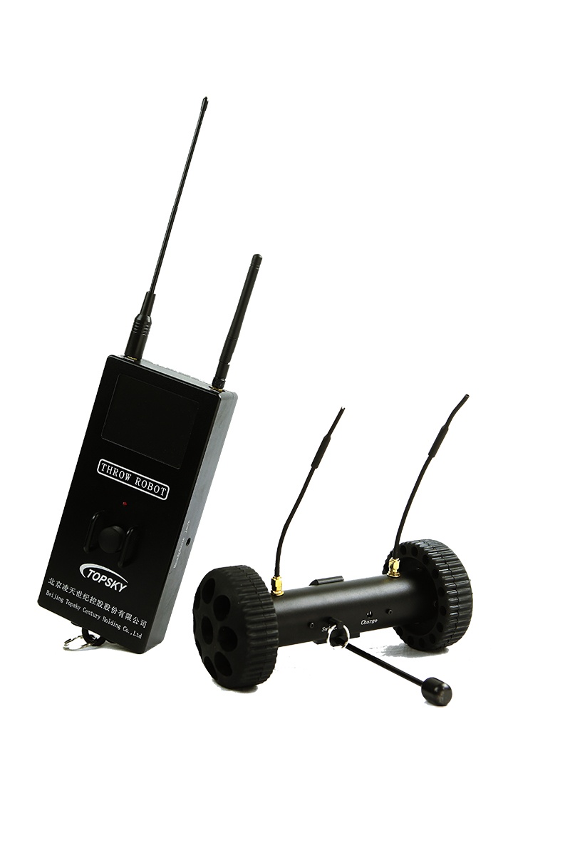 美女的隐藏部位是什么图片