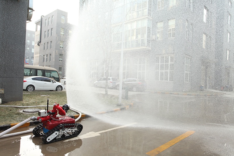 美女的隐藏部位是什么图片