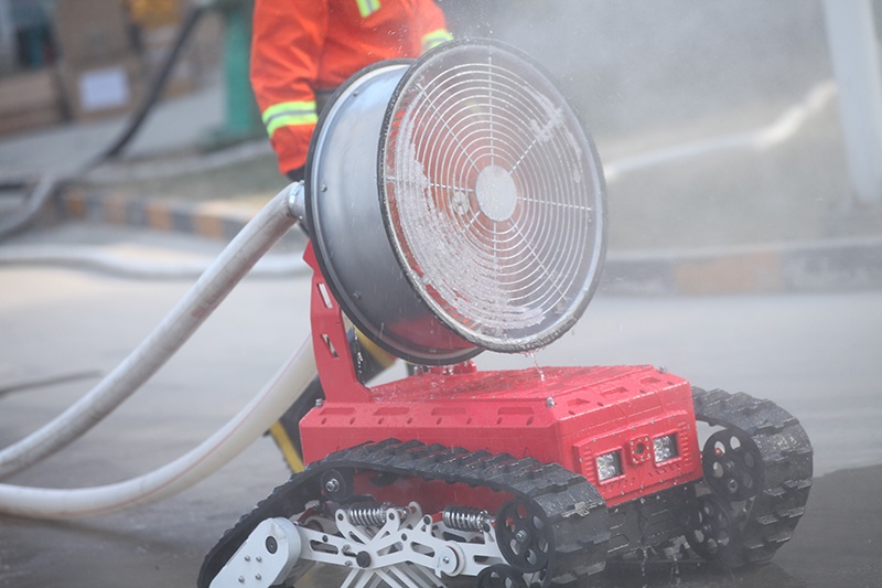美女的隐藏部位是什么图片