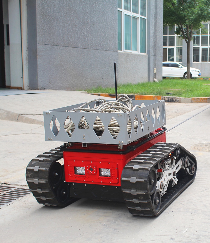 美女的隐藏部位是什么图片