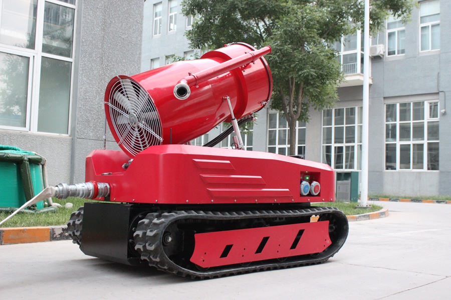 美女的隐藏部位是什么图片