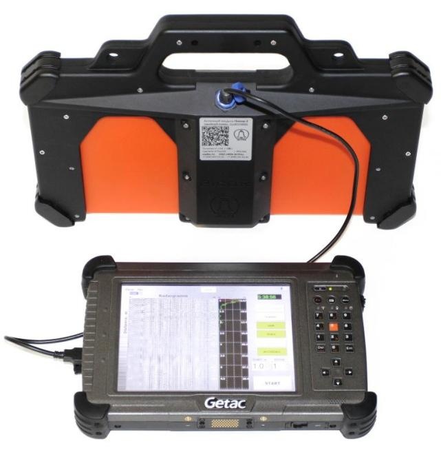 美女的隐藏部位是什么图片