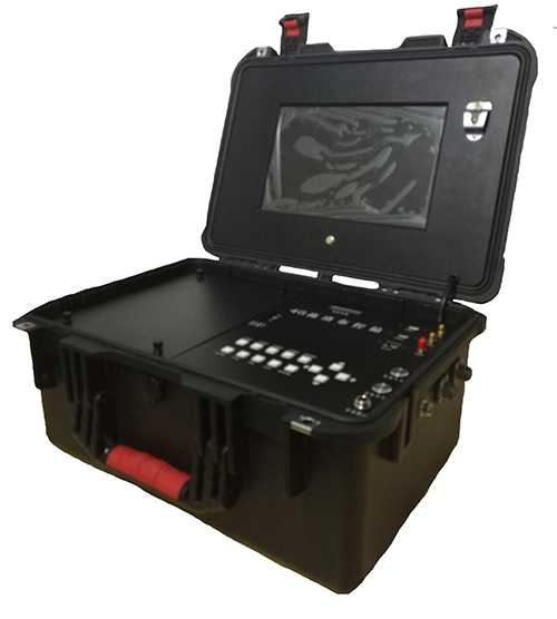 美女的隐藏部位是什么图片