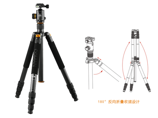 美女的隐藏部位是什么图片