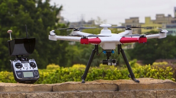 美女的隐藏部位是什么图片