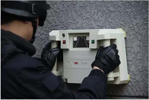 美女的隐藏部位是什么图片