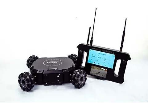 美女的隐藏部位是什么图片