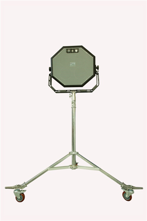 美女的隐藏部位是什么图片