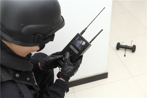 美女的隐藏部位是什么图片