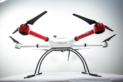 美女的隐藏部位是什么图片