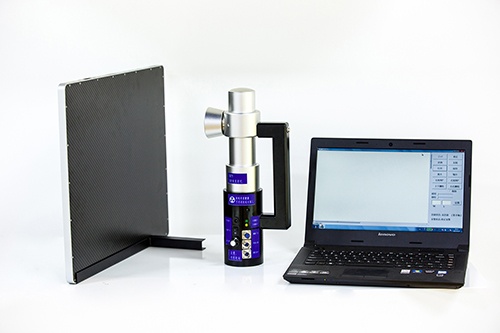 美女的隐藏部位是什么图片