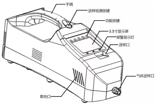 美女的隐藏部位是什么图片
