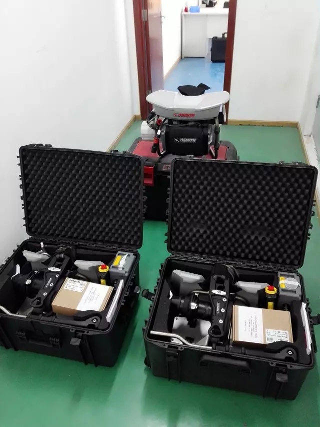 美女的隐藏部位是什么图片