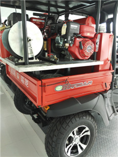 美女的隐藏部位是什么图片