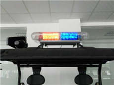 美女的隐藏部位是什么图片