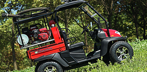 美女的隐藏部位是什么图片