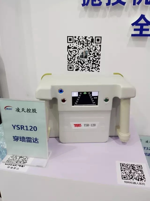 美女的隐藏部位是什么图片