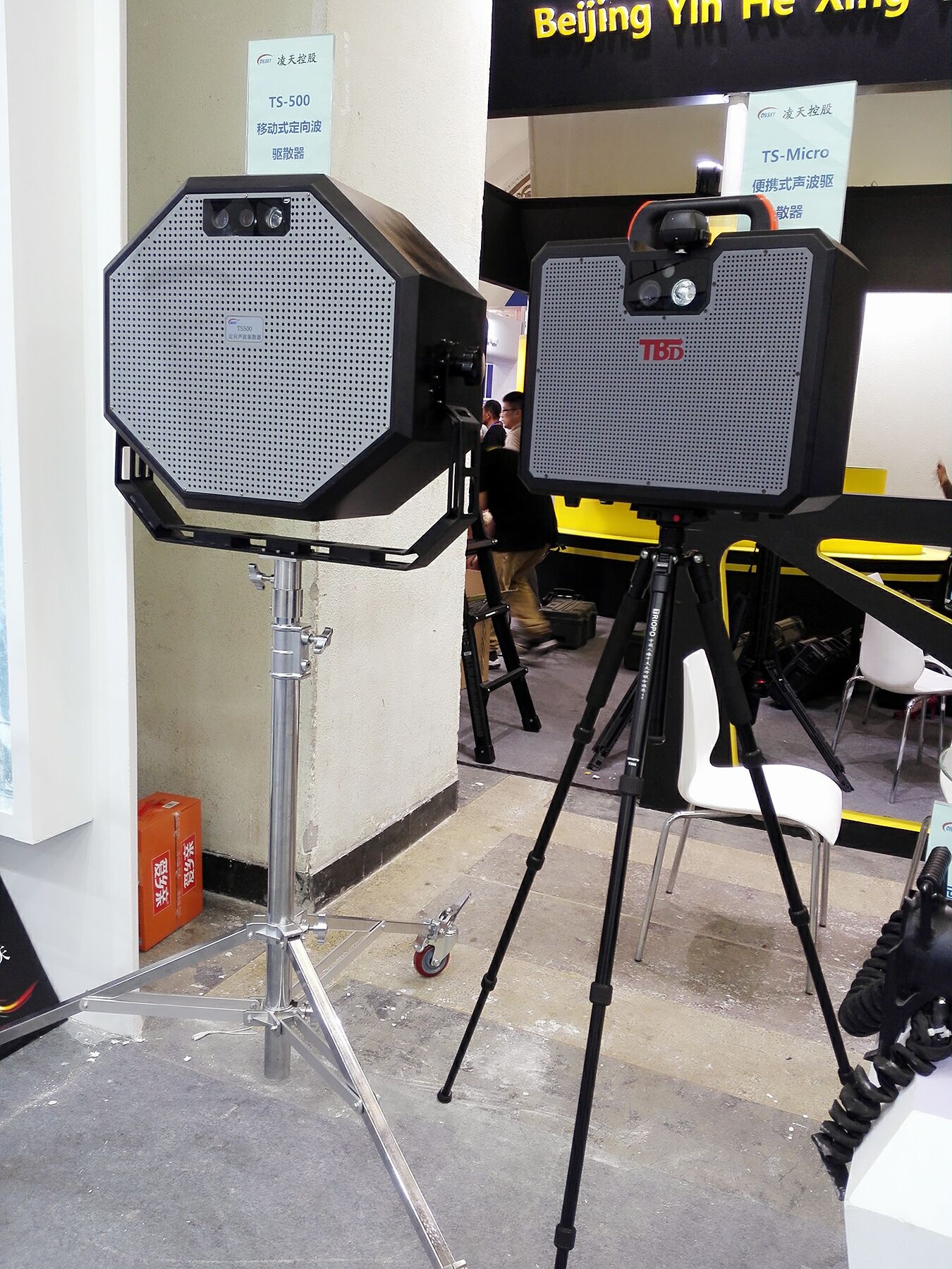 美女的隐藏部位是什么图片