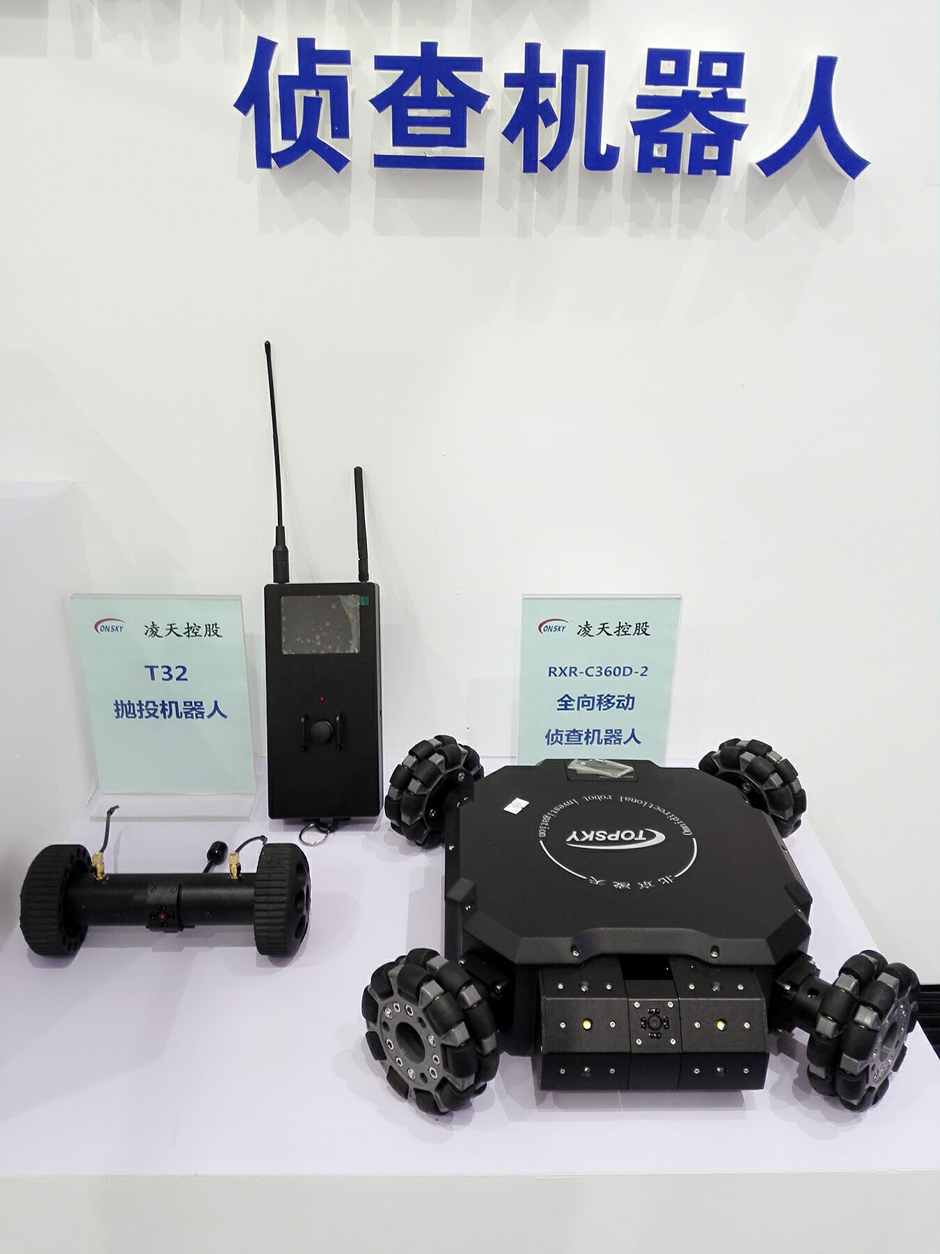 美女的隐藏部位是什么图片