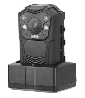 美女的隐藏部位是什么图片