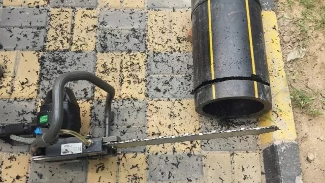 美女的隐藏部位是什么图片