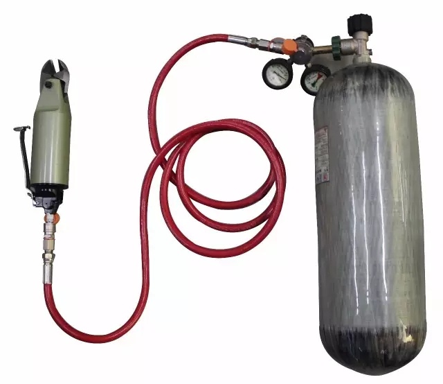 美女的隐藏部位是什么图片