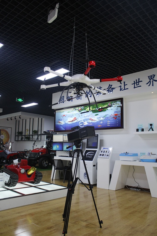 美女的隐藏部位是什么图片