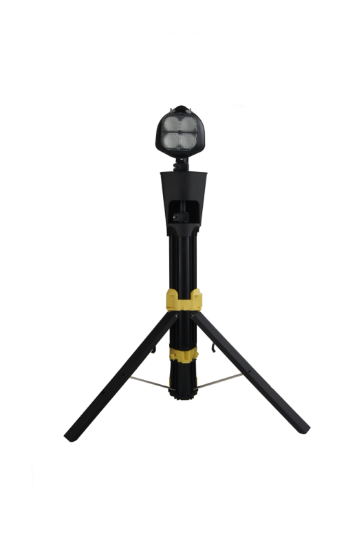 美女的隐藏部位是什么图片