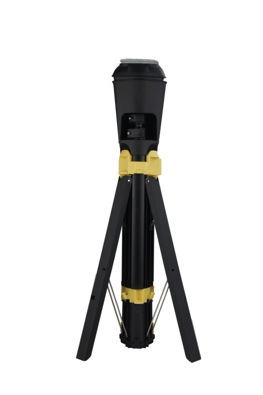 美女的隐藏部位是什么图片