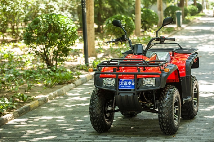 美女的隐藏部位是什么图片