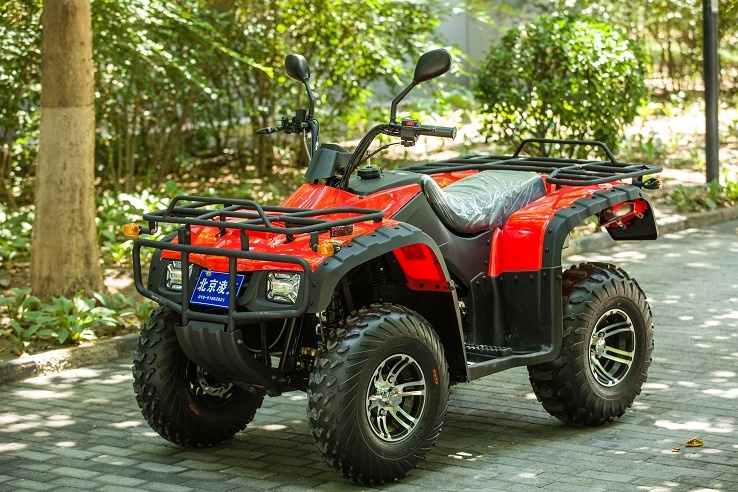 美女的隐藏部位是什么图片