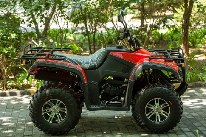 美女的隐藏部位是什么图片