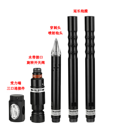 美女的隐藏部位是什么图片