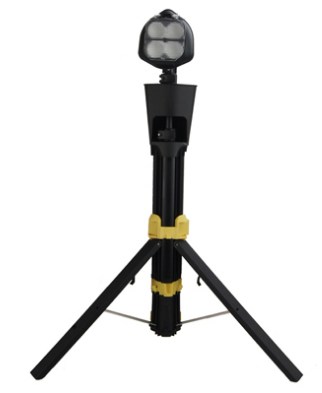 美女的隐藏部位是什么图片