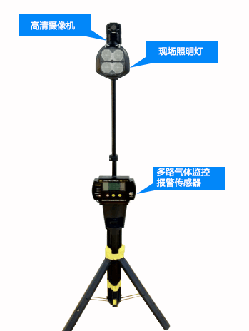 美女的隐藏部位是什么图片