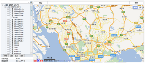 美女的隐藏部位是什么图片