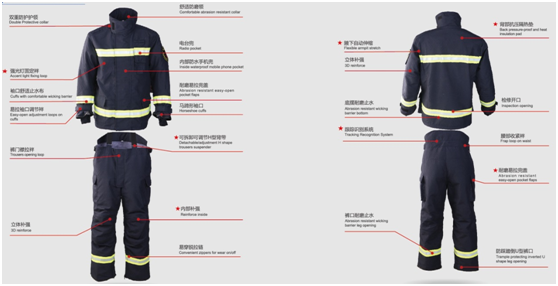 美女的隐藏部位是什么图片