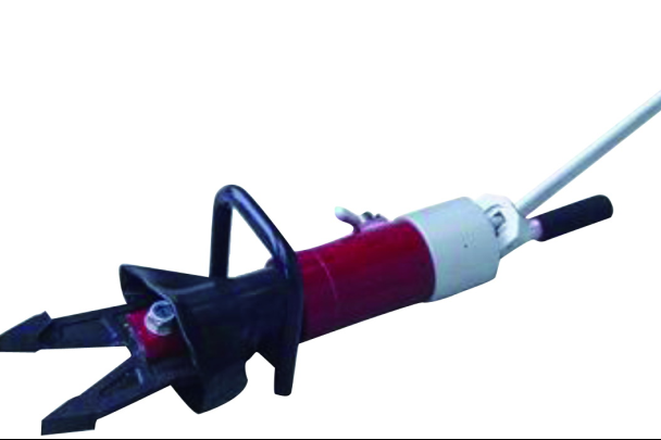 美女的隐藏部位是什么图片