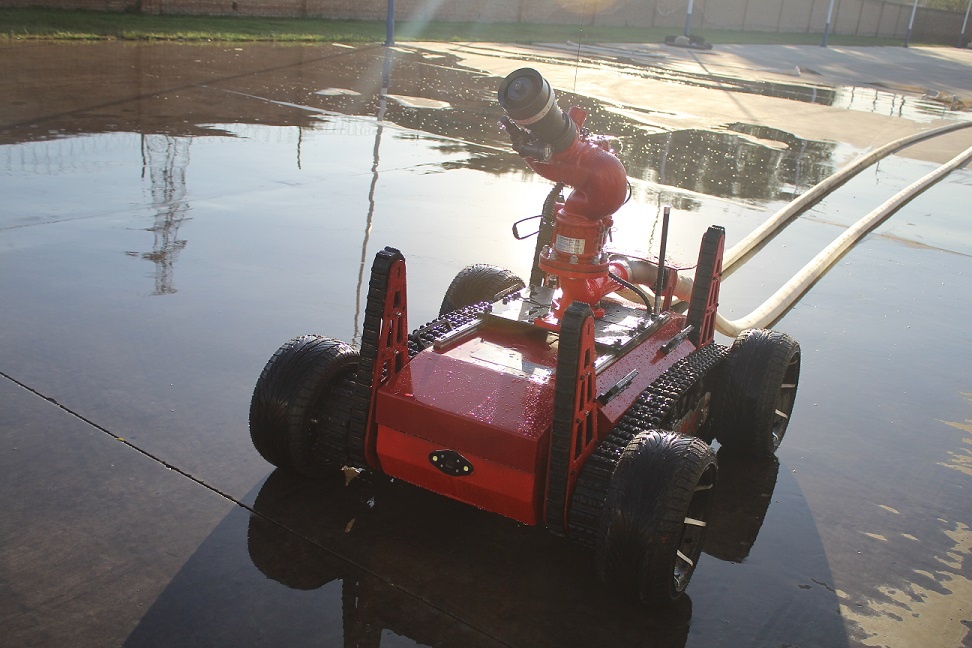 美女的隐藏部位是什么图片