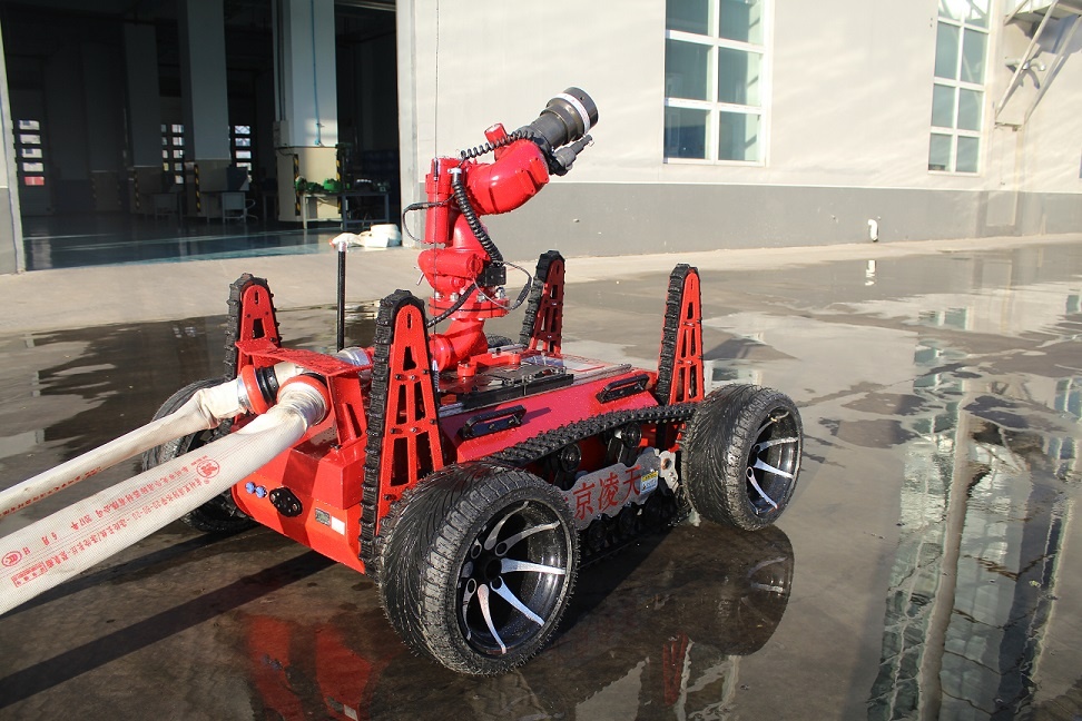 美女的隐藏部位是什么图片