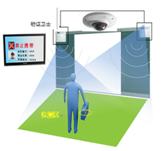 美女的隐藏部位是什么图片