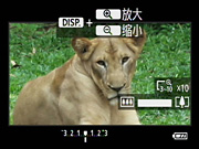 美女的隐藏部位是什么图片