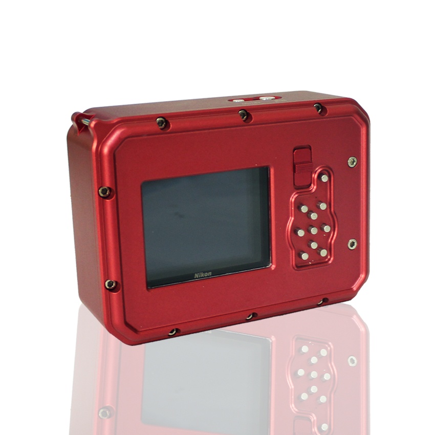 美女的隐藏部位是什么图片